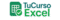 logo tce ampliado